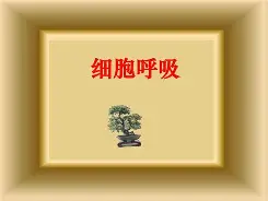 包含5M(<??鵘钱|0{魹4楂(翭7豥~醟_嗼